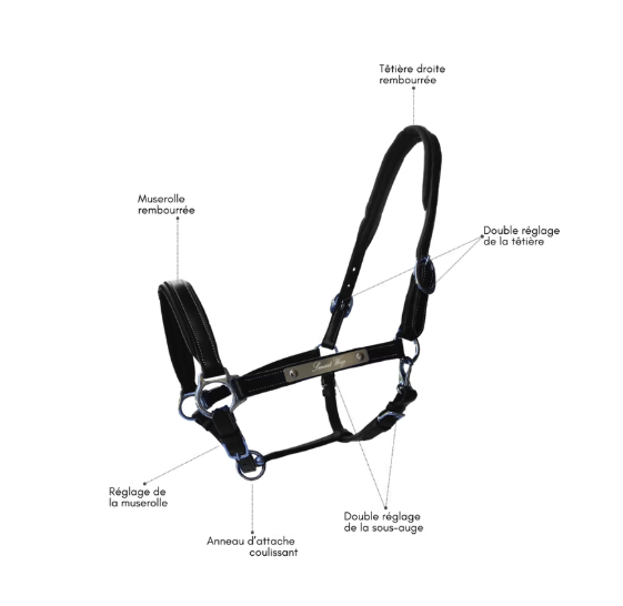 Licol personnalisable en cuir Black SOUL – Image 2