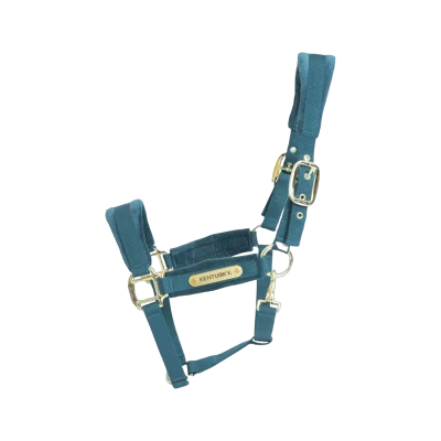 licol-velvet-emeraude_fd145739-494d-4f33-bc42-74efa4d870fc